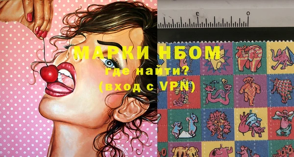 PSILOCYBIN Алзамай