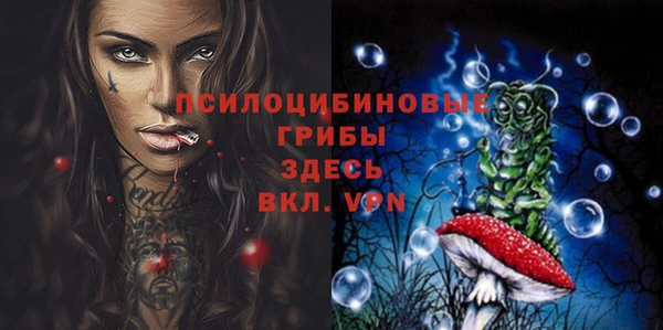 PSILOCYBIN Алзамай