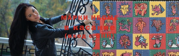 PSILOCYBIN Алзамай