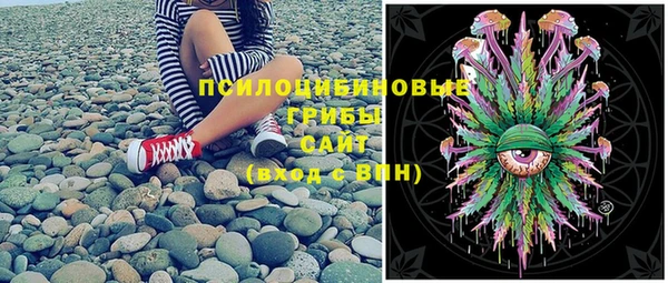 PSILOCYBIN Алзамай