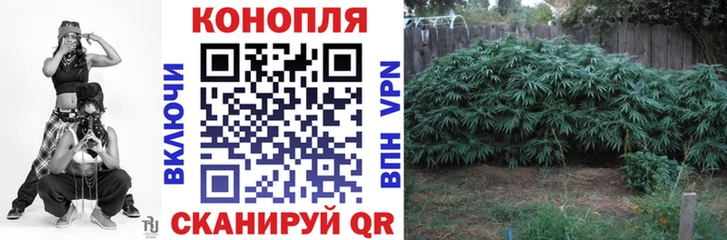 наркошоп  Бежецк  KRAKEN ССЫЛКА  Конопля Bruce Banner 